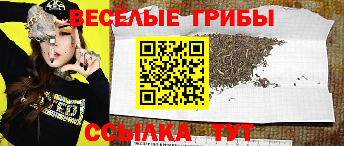Галлюциногенные грибы Magic Shrooms  закладка  Иваново  Вход с VPN  Галлюциногенные грибы мухоморы 