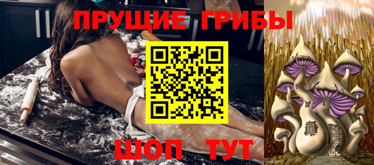 Псилоцибиновые грибы Cubensis Иваново