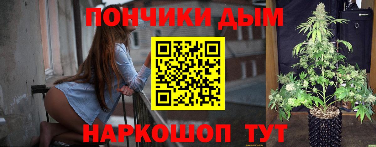 Бошки Шишки конопля  Марихуана планчик  Бошки марихуана сатива  Вход с VPN  Конопля White Widow  Иваново 
